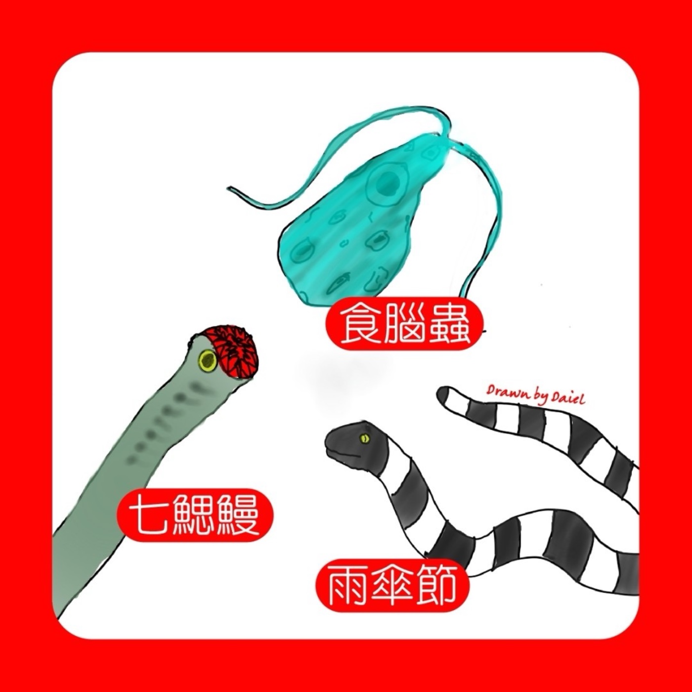 EP15 對話 I 和蛇蛇同學聊最強生物