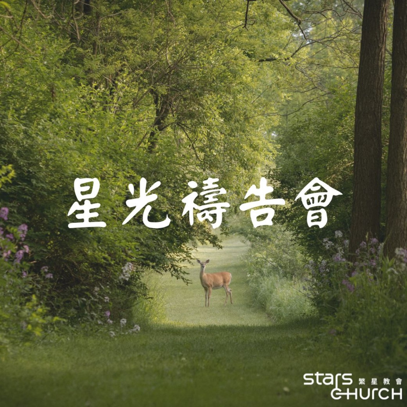 意識省察-釋放壓力 episode artwork