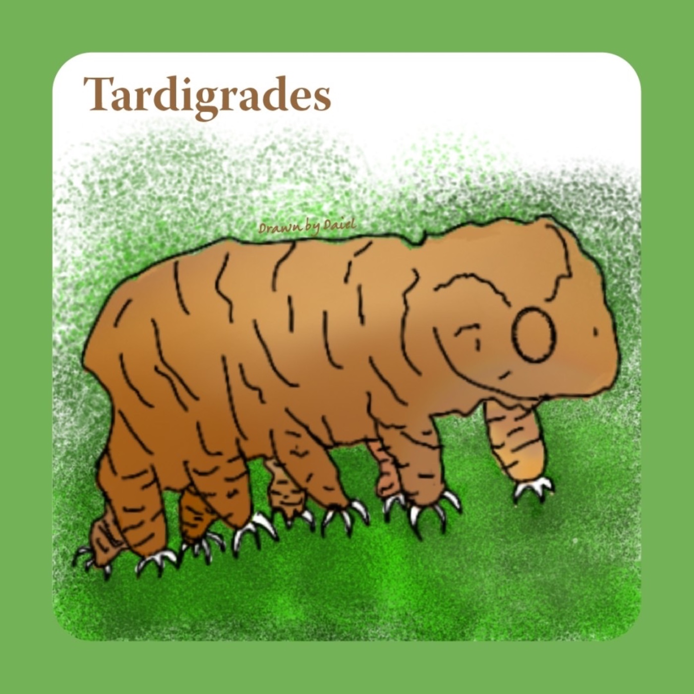EP18 生命力最強的水熊蟲 Tardigrades