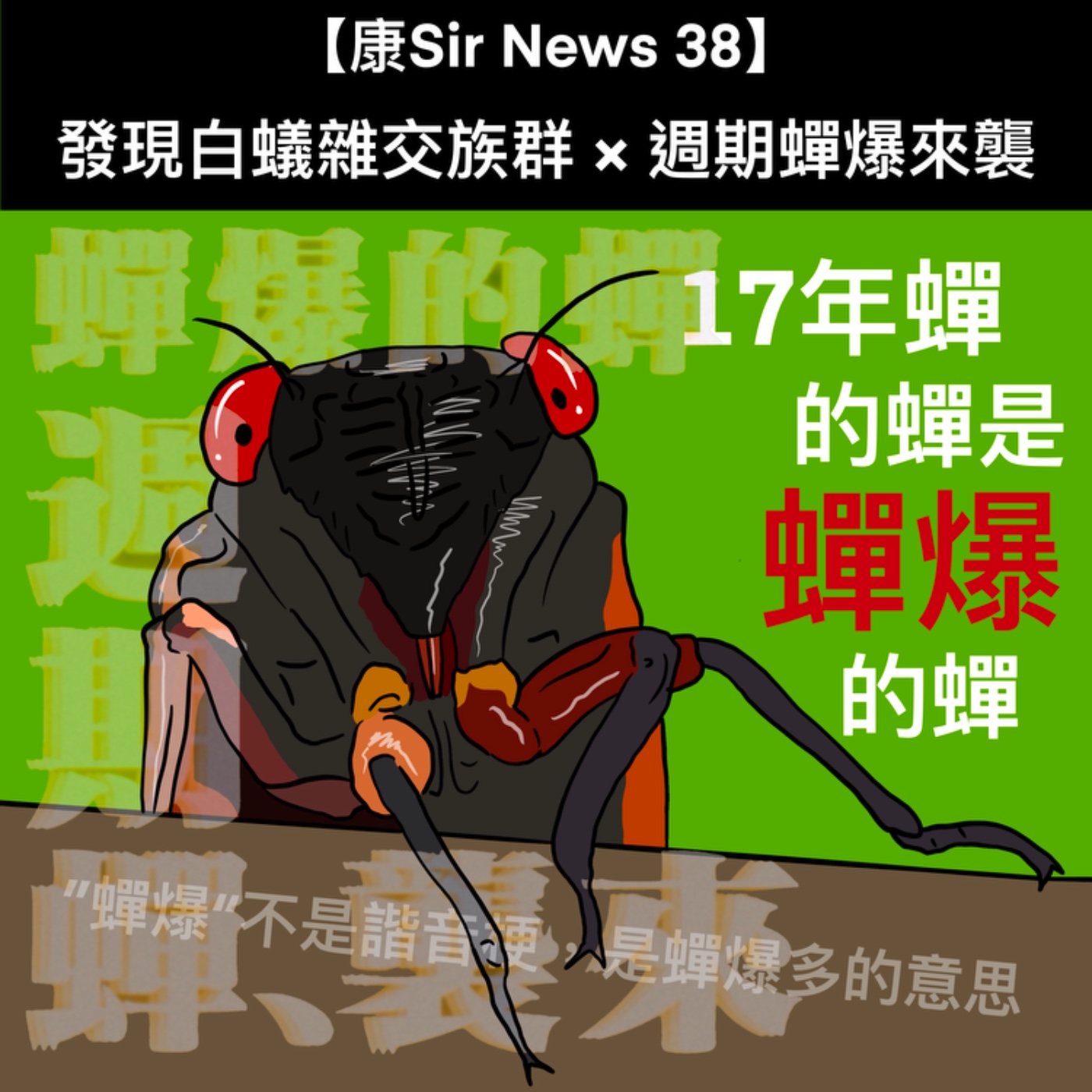 【康Sir News 38】發現白蟻雜交族群×週期蟬爆來襲 episode artwork