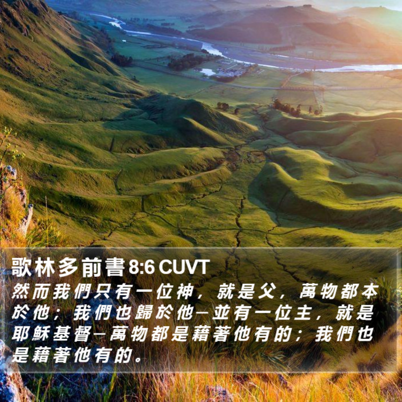 哥林多前書 第八章1-13節 episode artwork