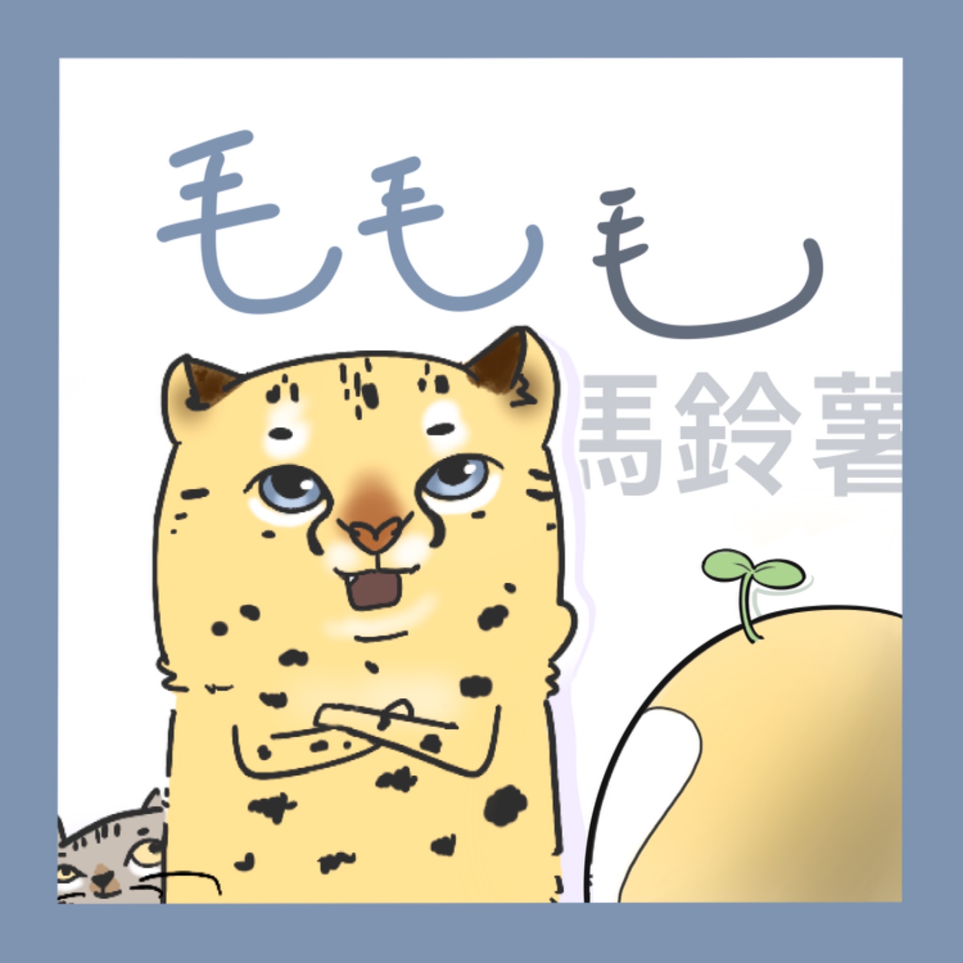 毛毛馬鈴薯
