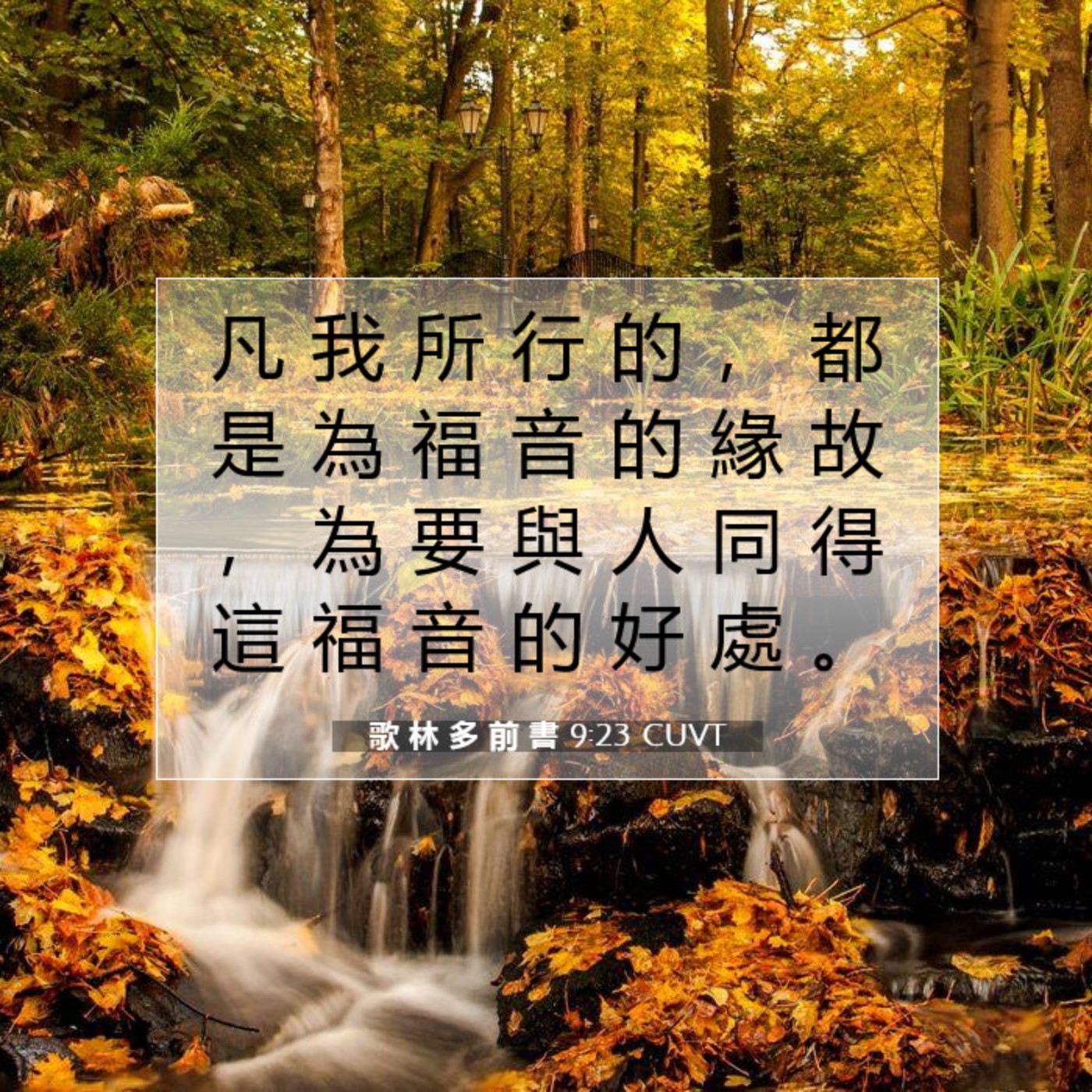 哥林多前書 第九章19-23節 episode artwork