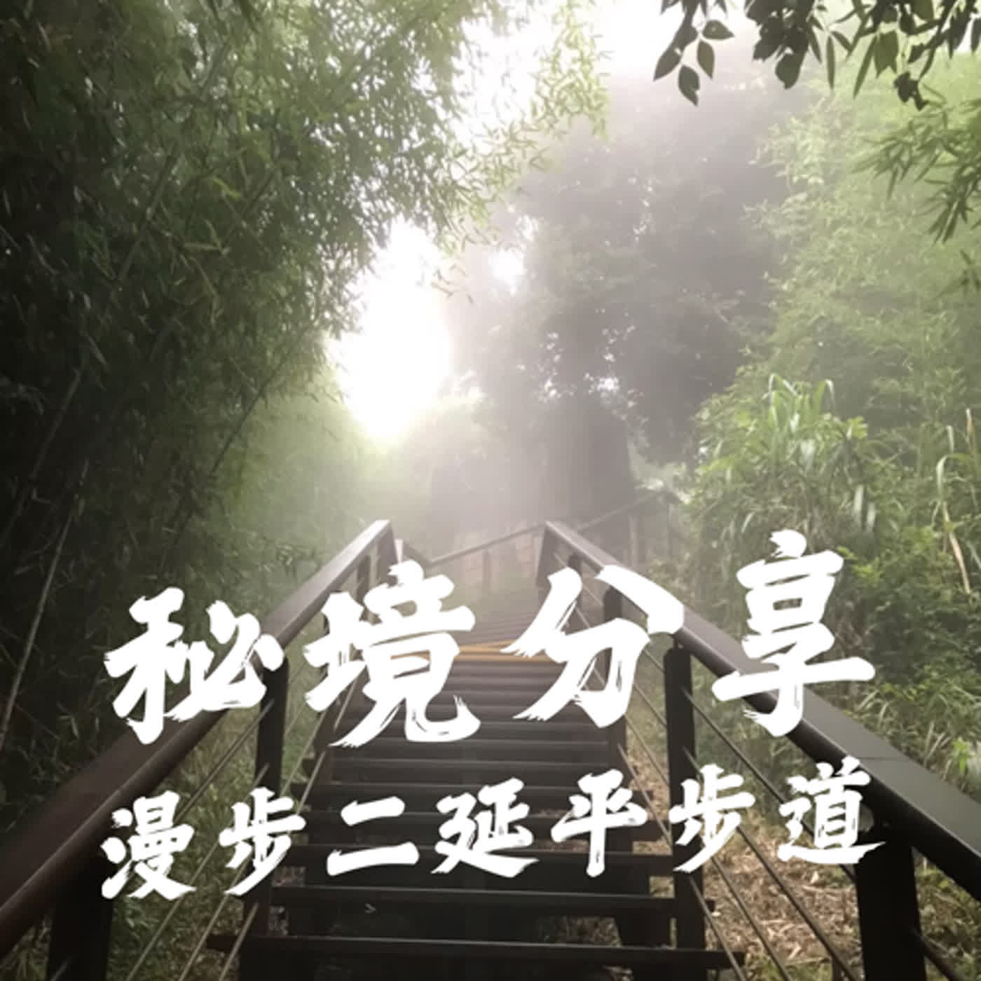 【普普風塵追追追 EP3】讓人忘憂的原始秘境~漫步二延平步道 episode artwork