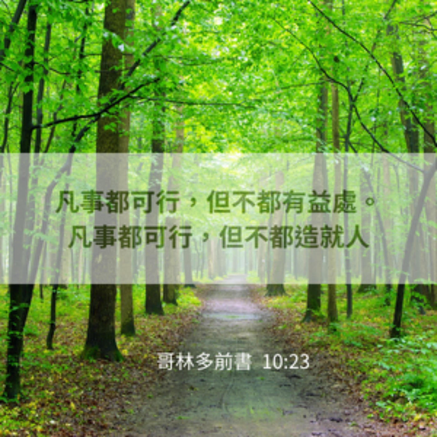 哥林多前書 10:14-11:1 episode artwork