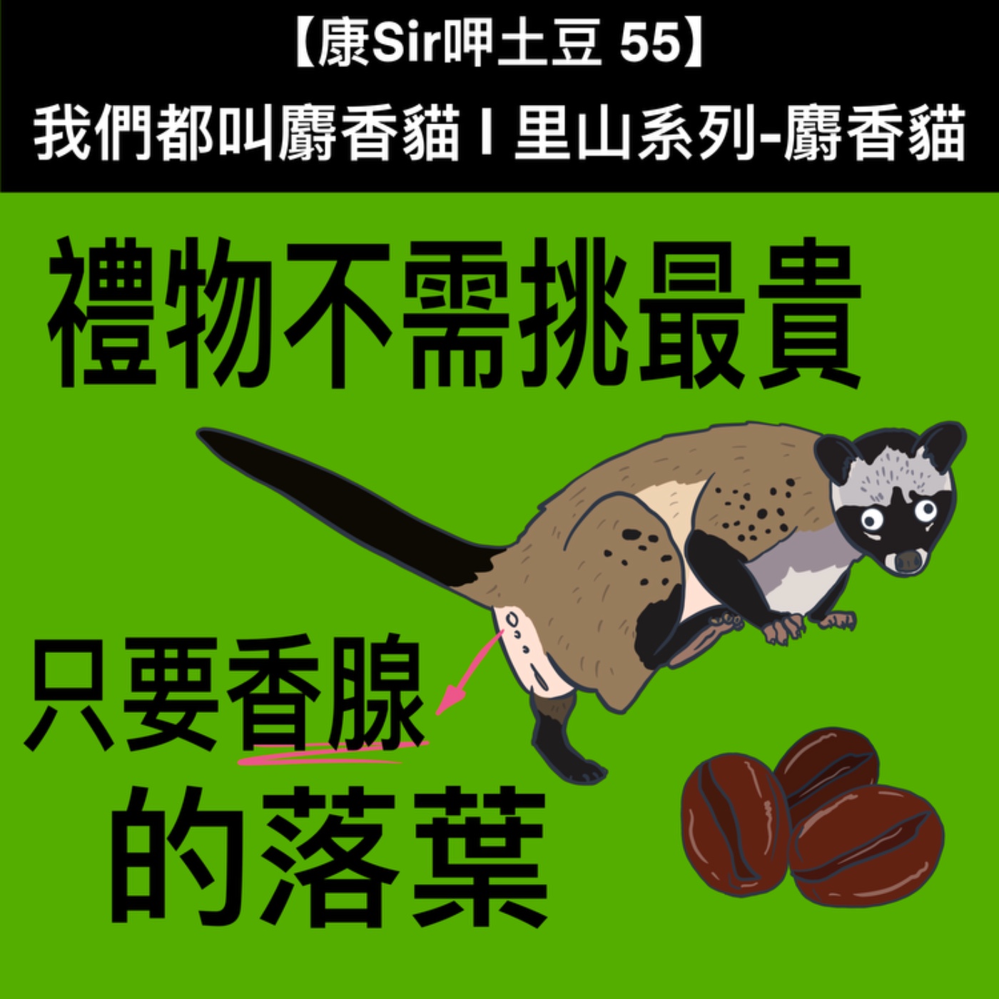 【康Sir呷土豆 55】我們都叫麝香貓 | 里山系列-麝香貓 episode artwork