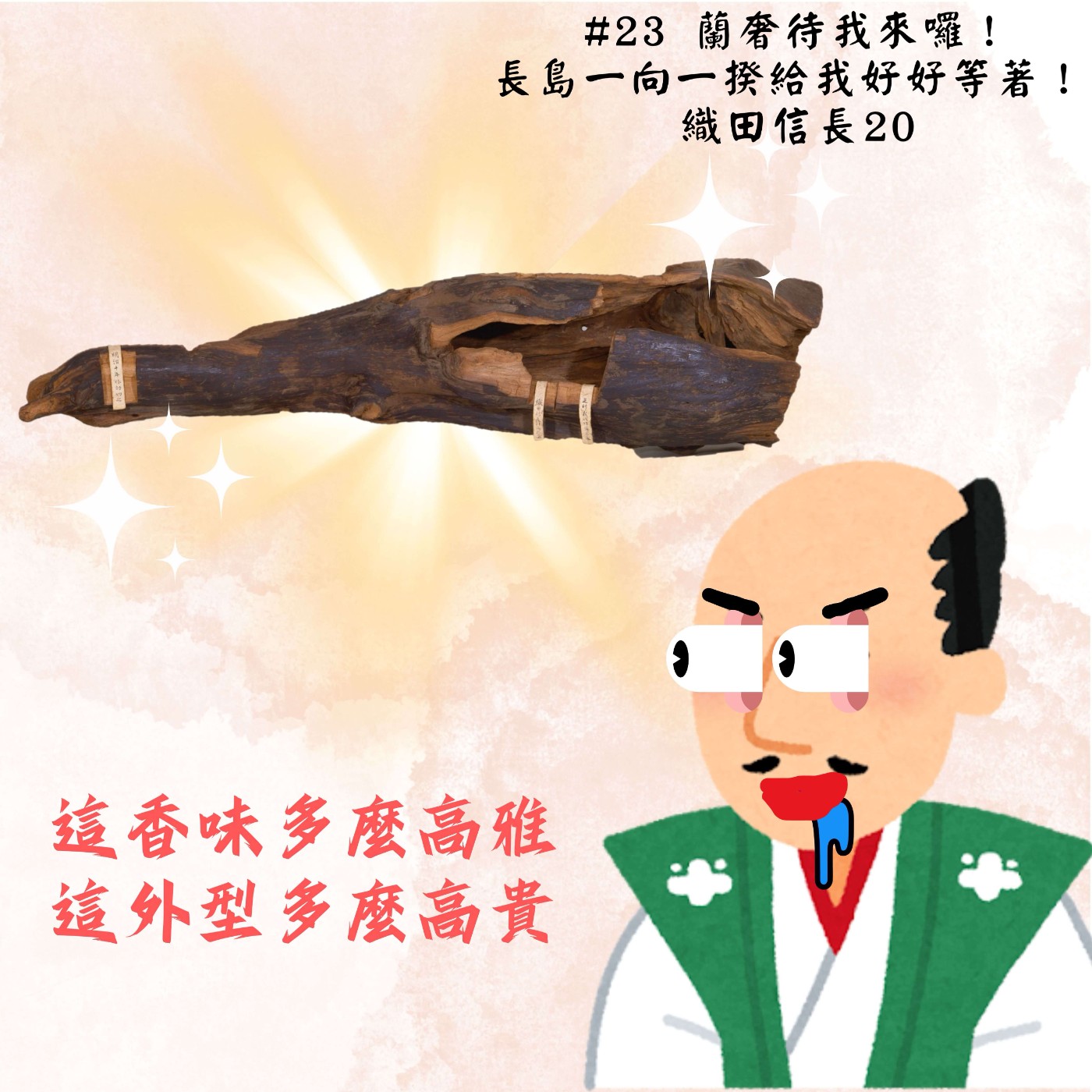 #23 蘭奢待我來囉！ 長島一向一揆給我好好等著！｜織田信長20 episode artwork