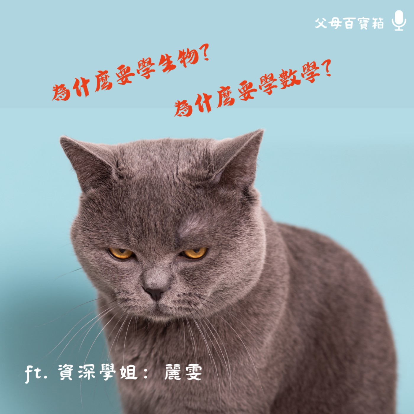 【父母百寶箱】學習是孩子的事，爸媽陪著就好 episode artwork