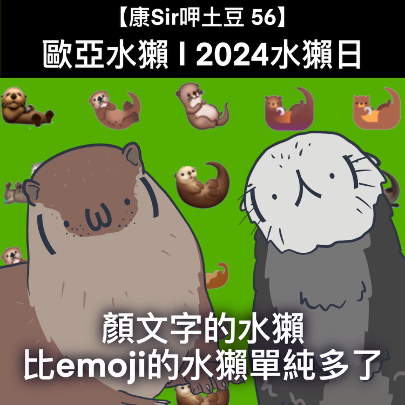 【康Sir呷土豆 56】歐亞水獺 | 2024水獺日   episode artwork