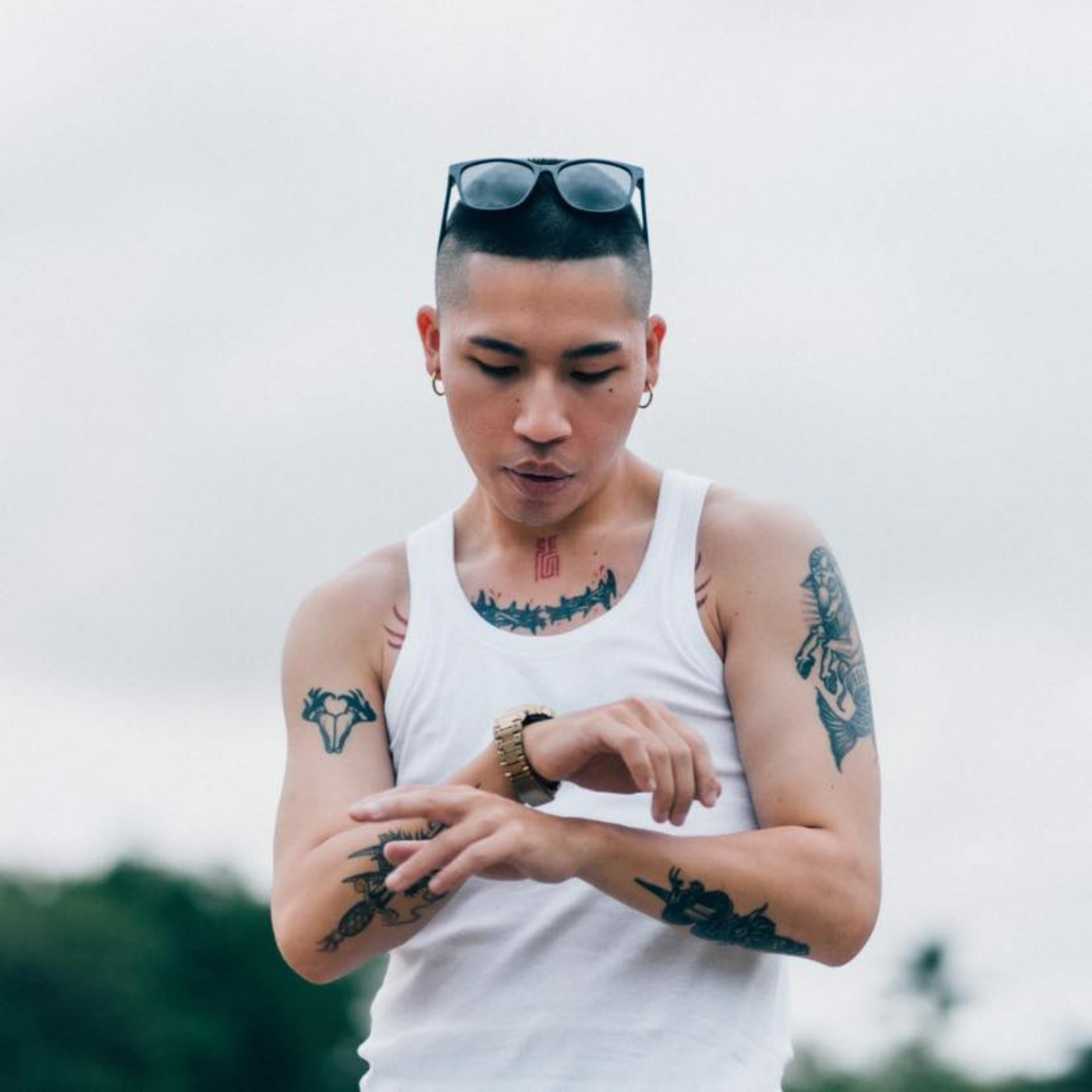 ALaN所見聞