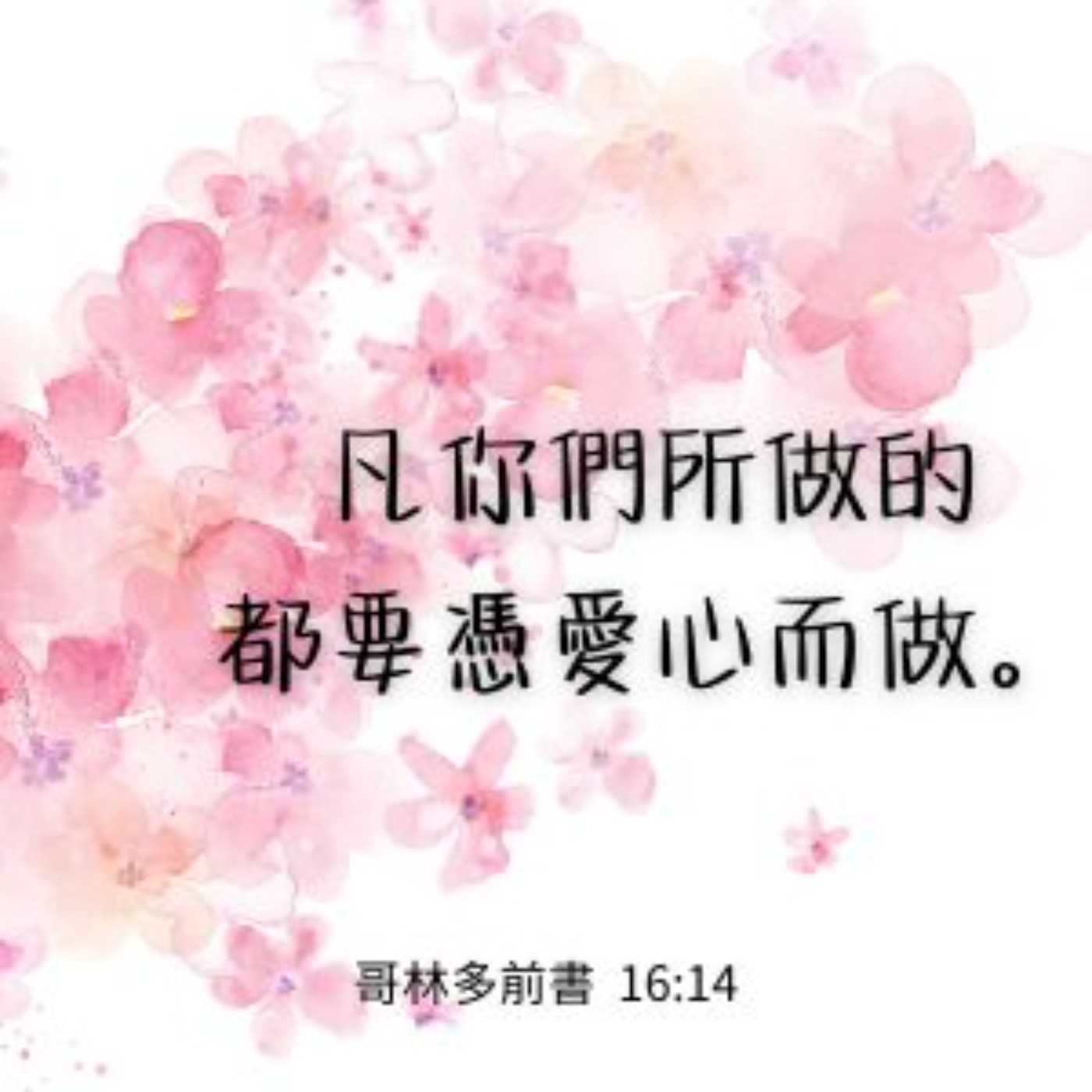 哥林多前書 第十六章 1-24節 episode artwork