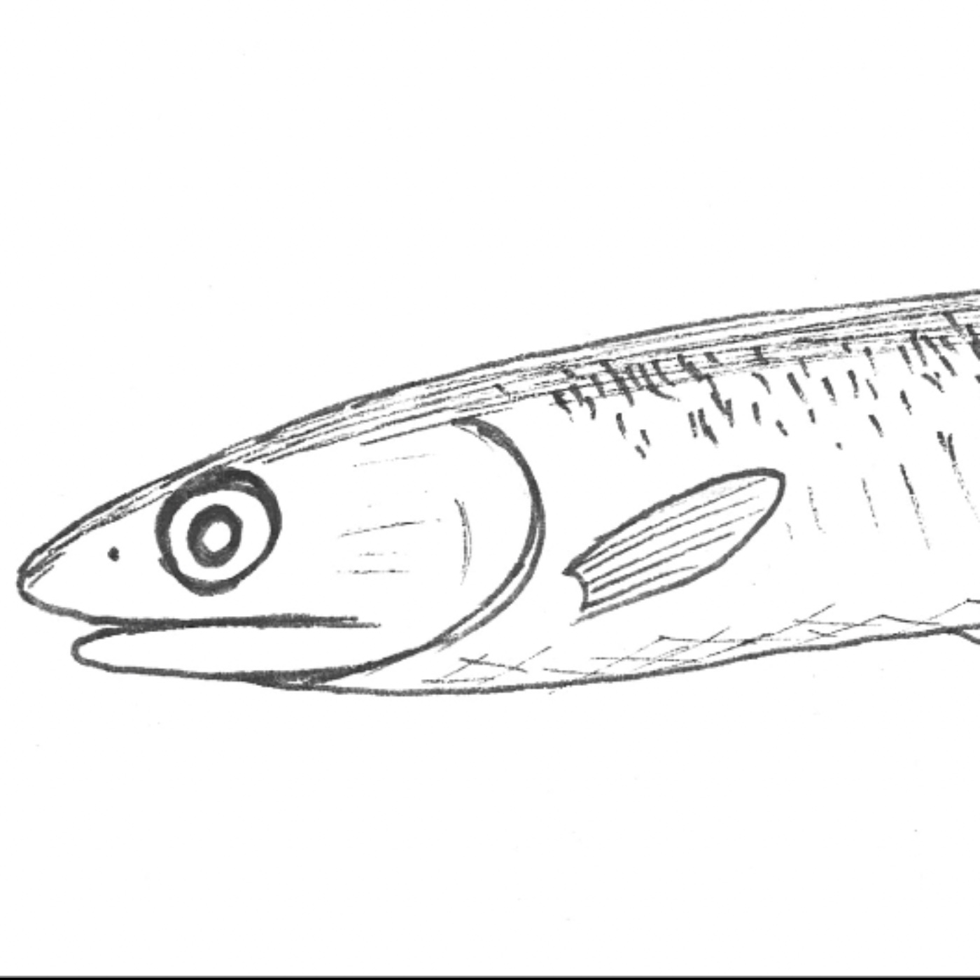 EP150 粽子粽葉春秋/能說善道的沙丁魚 episode artwork