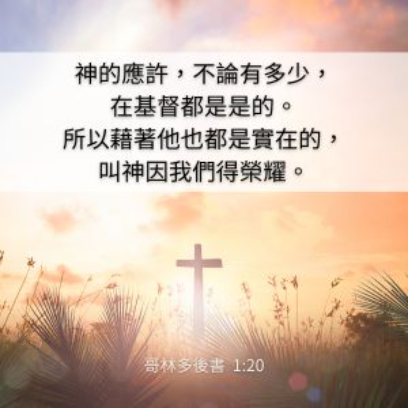 哥林多後書 第一章 12-24節 episode artwork