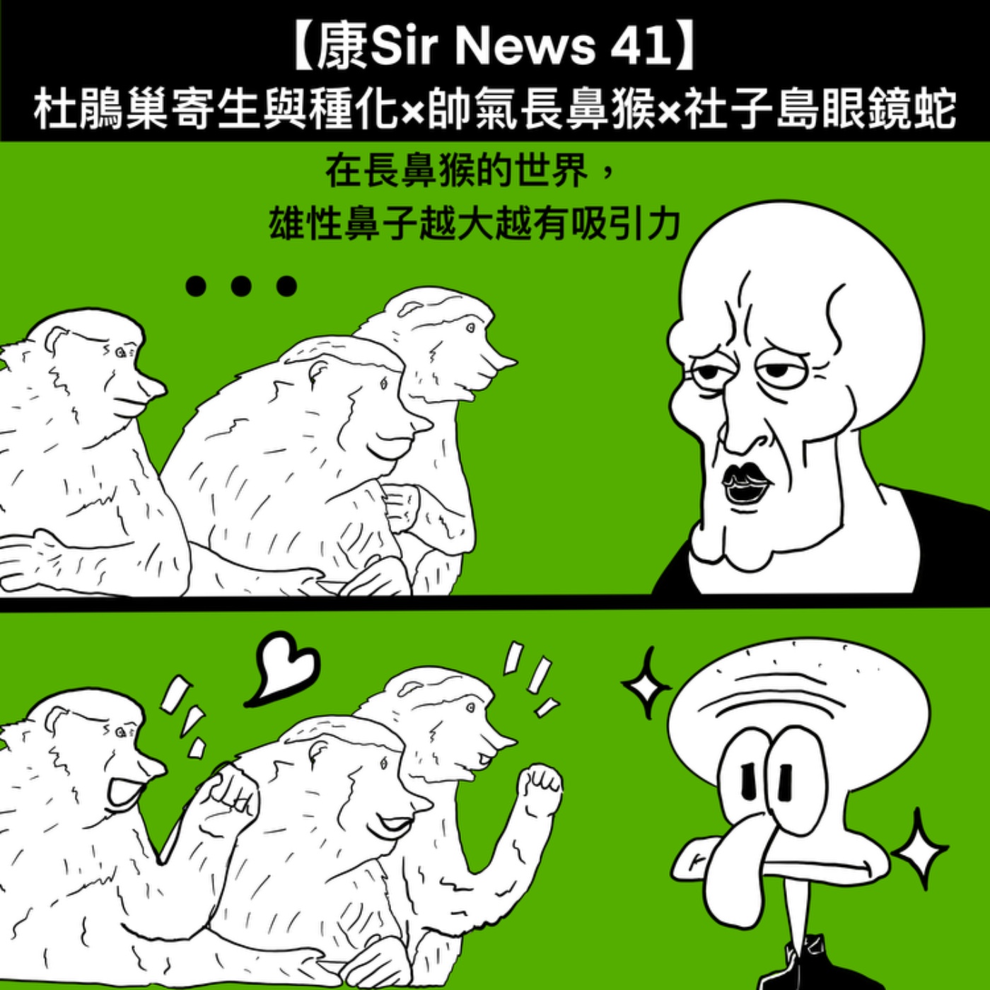 【康Sir News 41】杜鵑巢寄生與種化×帥氣長鼻猴×社子島眼鏡蛇 episode artwork