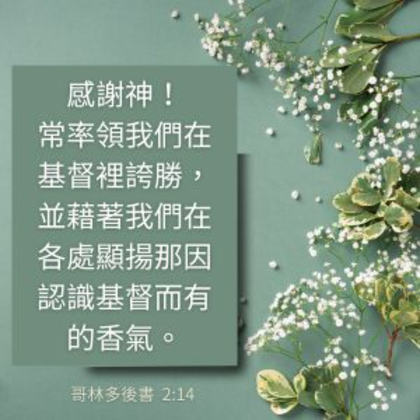 哥林多後書 第二章 12-17節 episode artwork