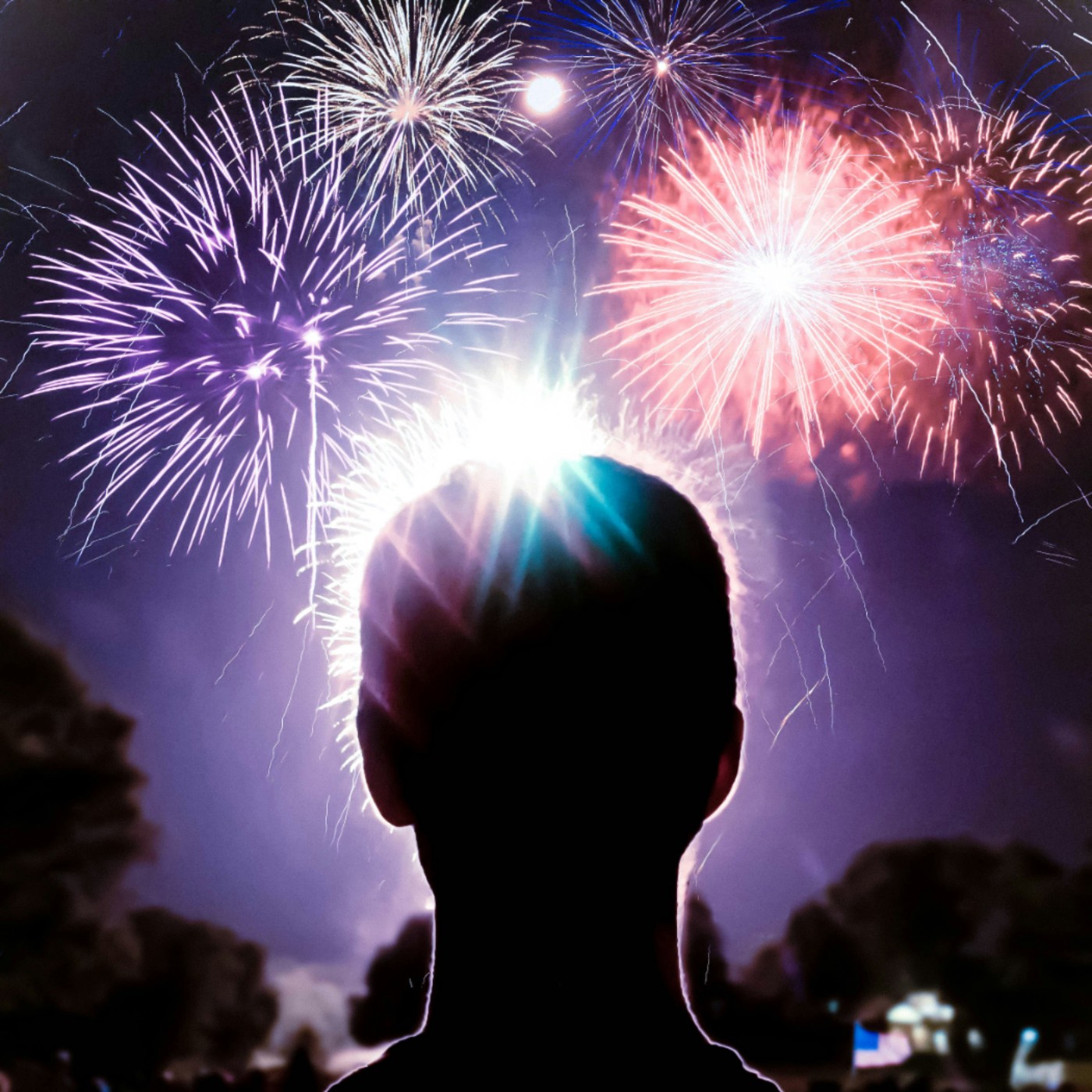 第306回｜夏日花火大會即將開跑！東京五選！