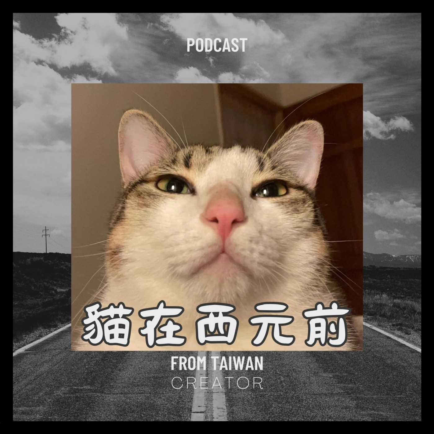 貓在西元前
