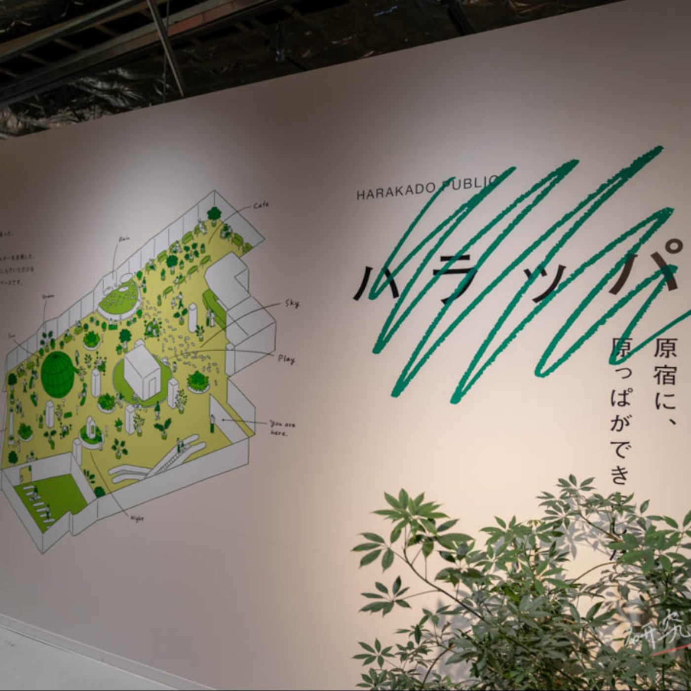 第311回｜探索原宿最新地標！不可錯過的「HARAKADO」巡禮！