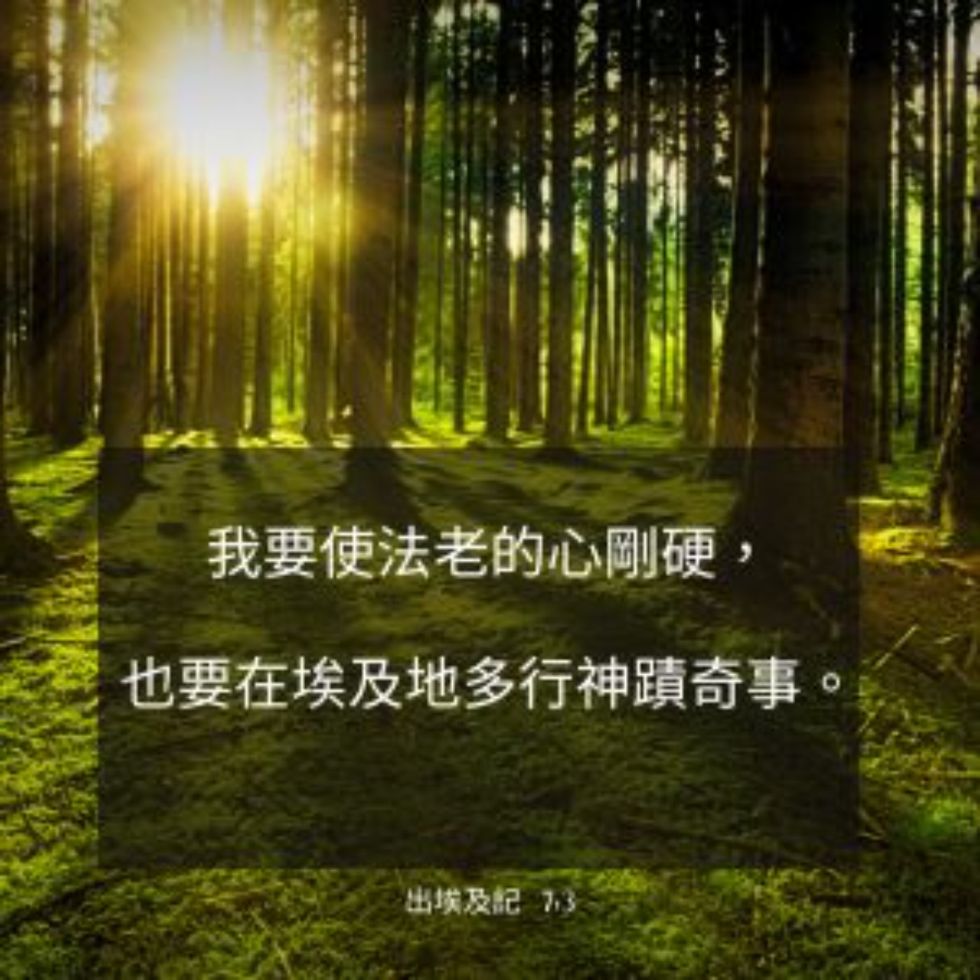 出埃及記 第七章 episode artwork