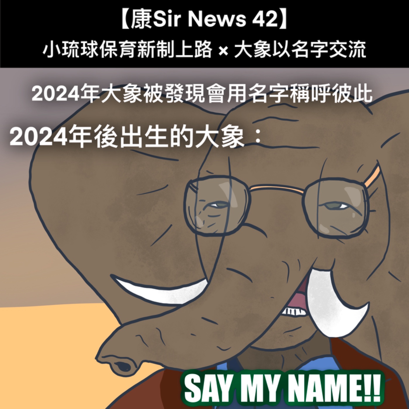 【康Sir News 42】小琉球保育新制上路×大象以名字交流 episode artwork