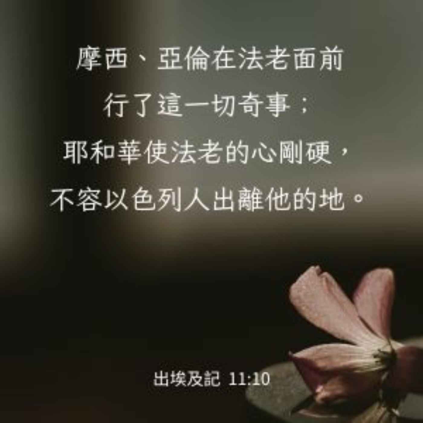 出埃及記 第十一章 episode artwork