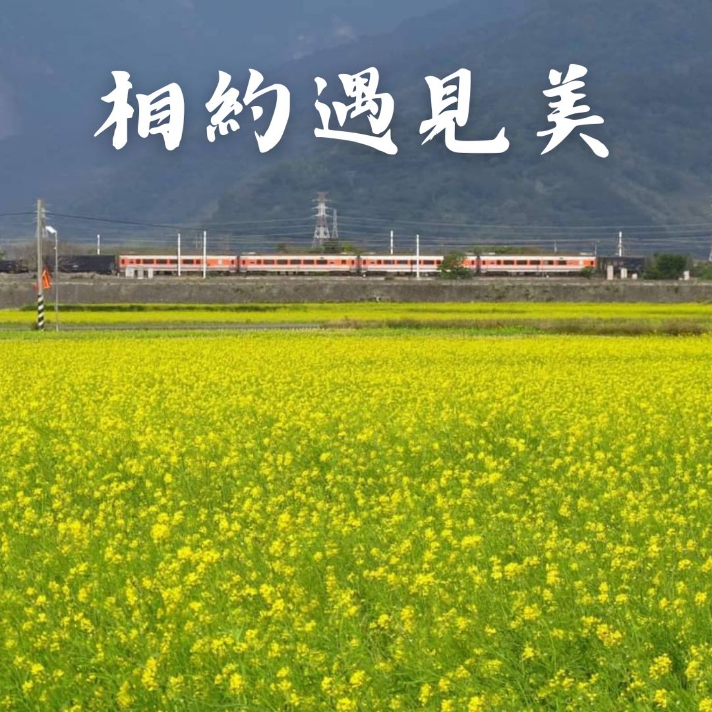 相約遇見美 podcast artwork