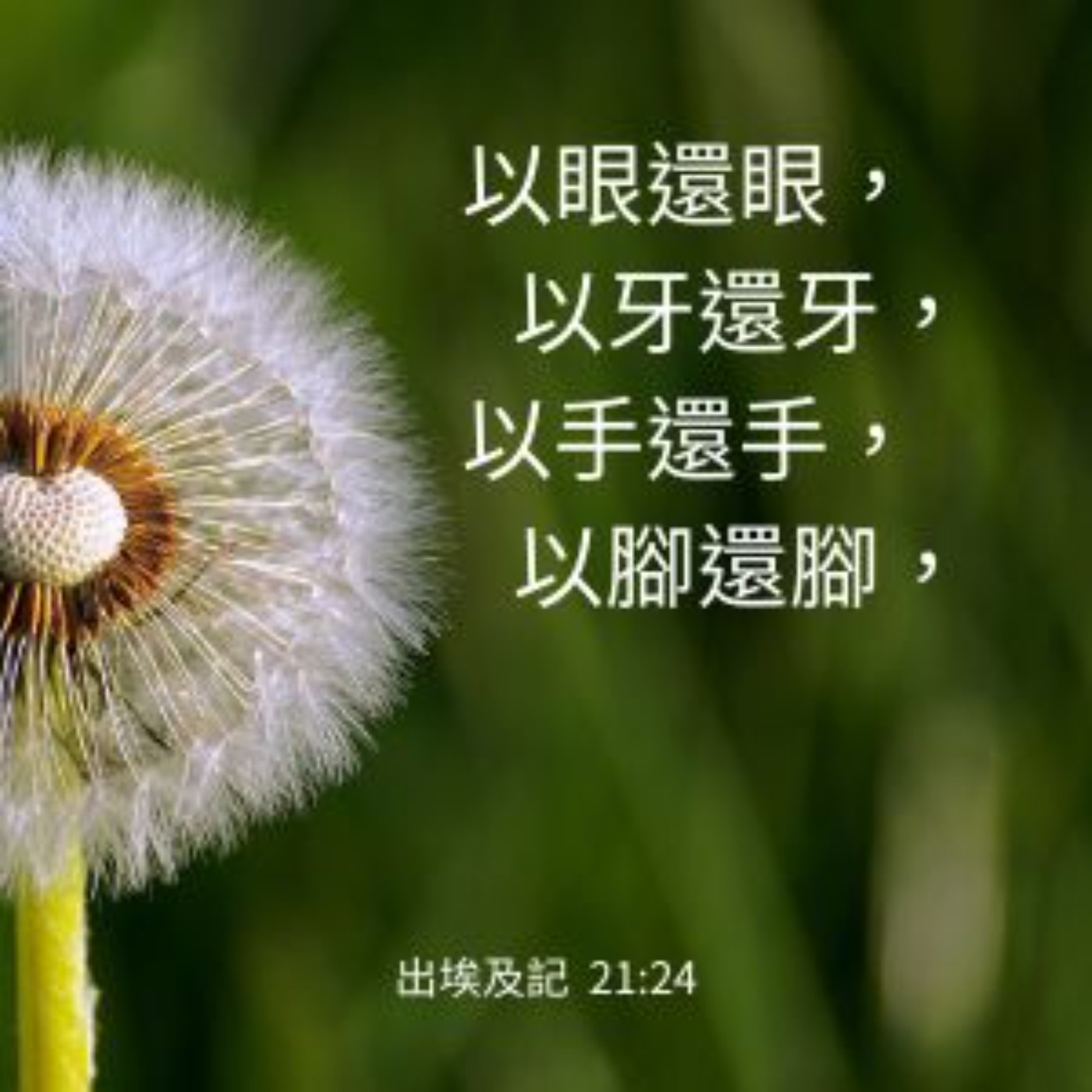 出埃及記 第21章 episode artwork