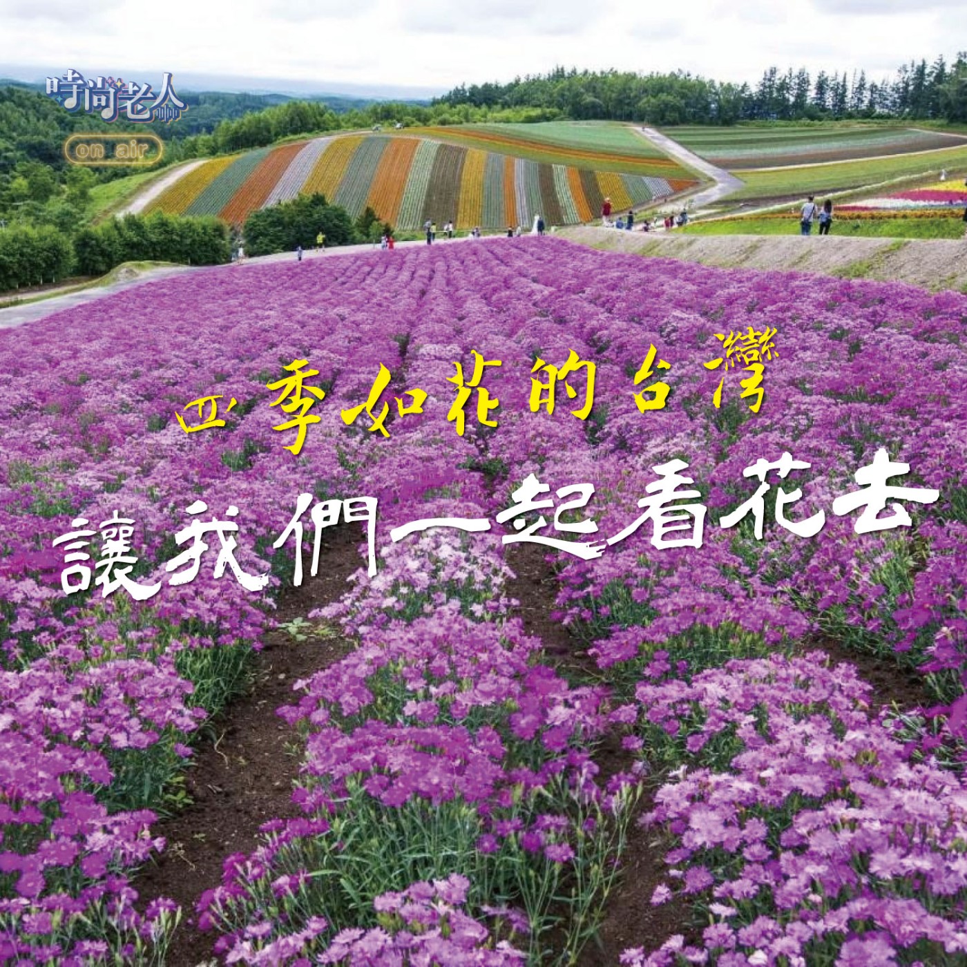 【普普風塵追追追 EP7】令人著迷，全年都是花季的台灣~讓我們一起看花去！ episode artwork