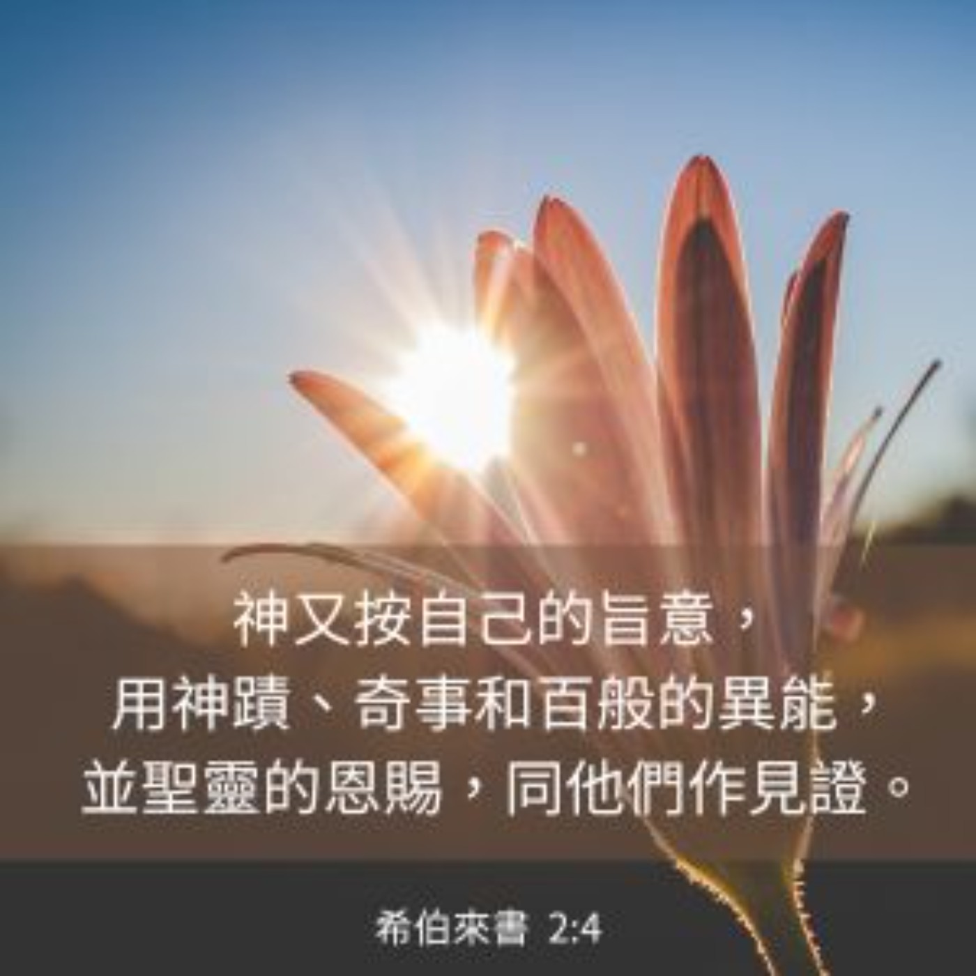 希伯來書 第2章1-4節 episode artwork