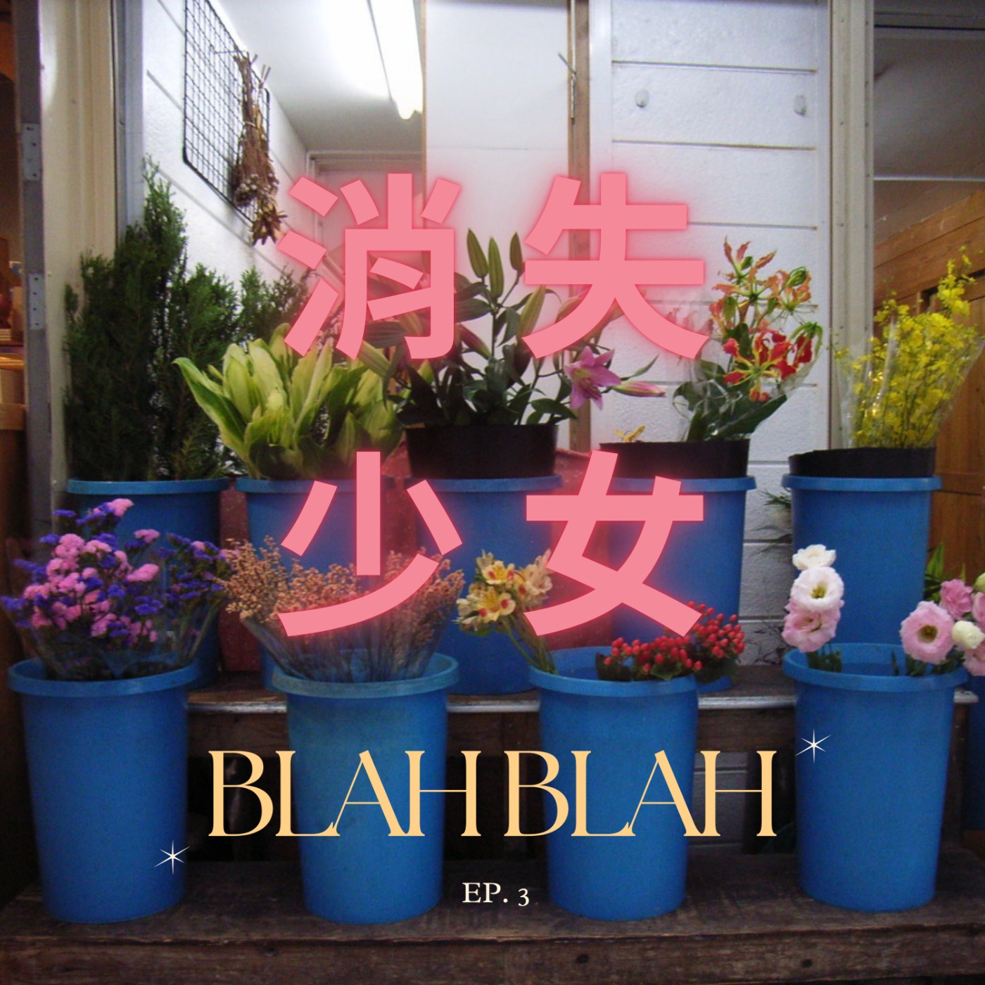  EP.3 消失Blah Blah_好不容易看了些影視作品 episode artwork