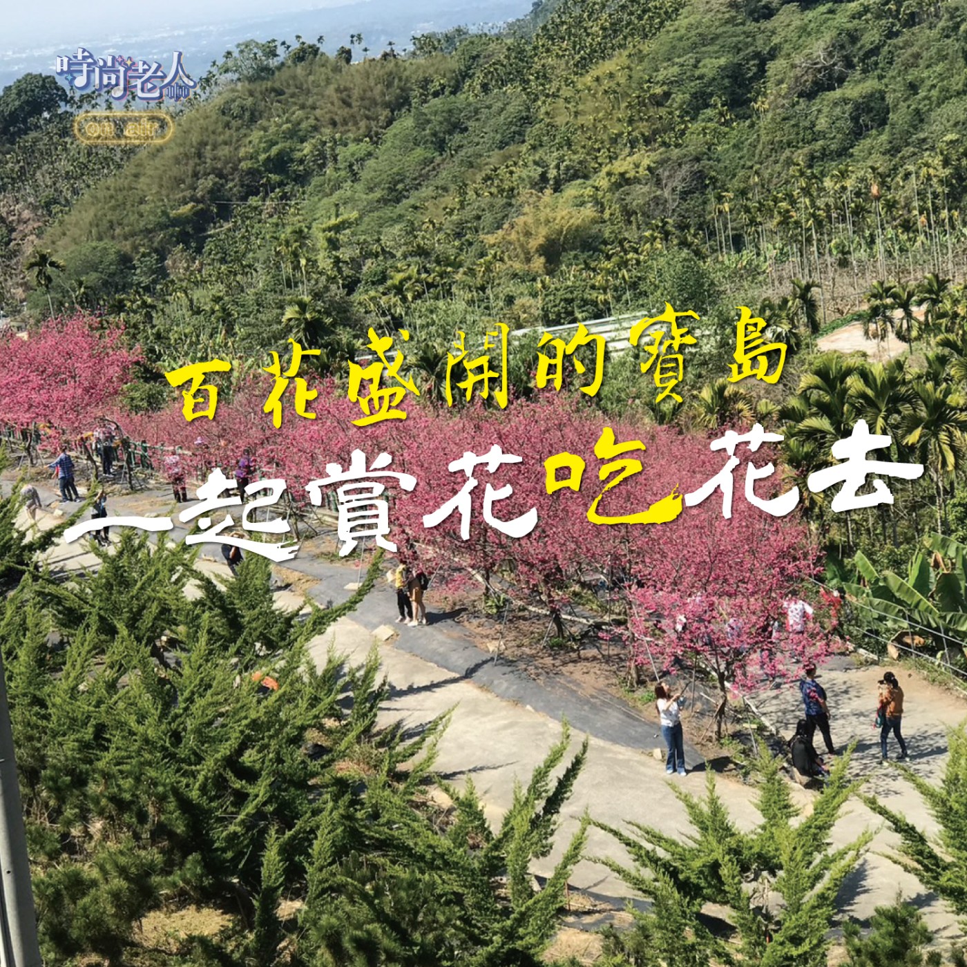 【後青春來開講 EP7】花不只賞心悅目~好看又好吃 episode artwork