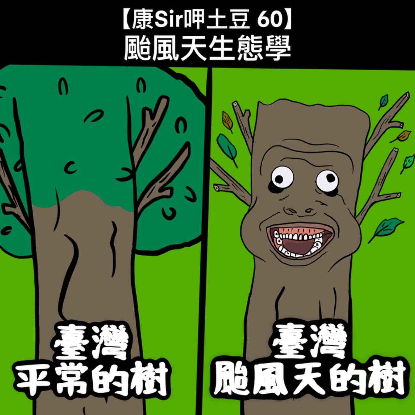 【康Sir呷土豆 60】颱風天生態學  episode artwork