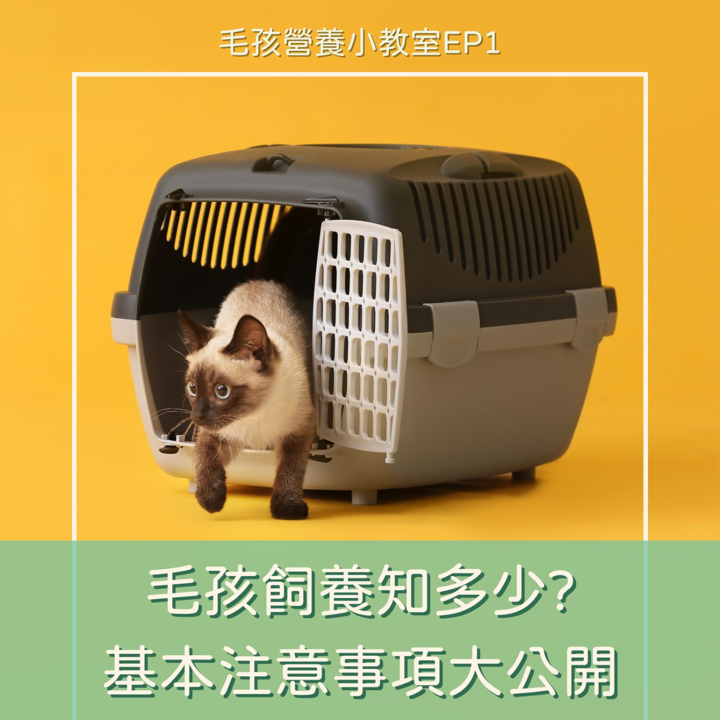 EP1. 毛孩飼養的基本注意事項有哪些?