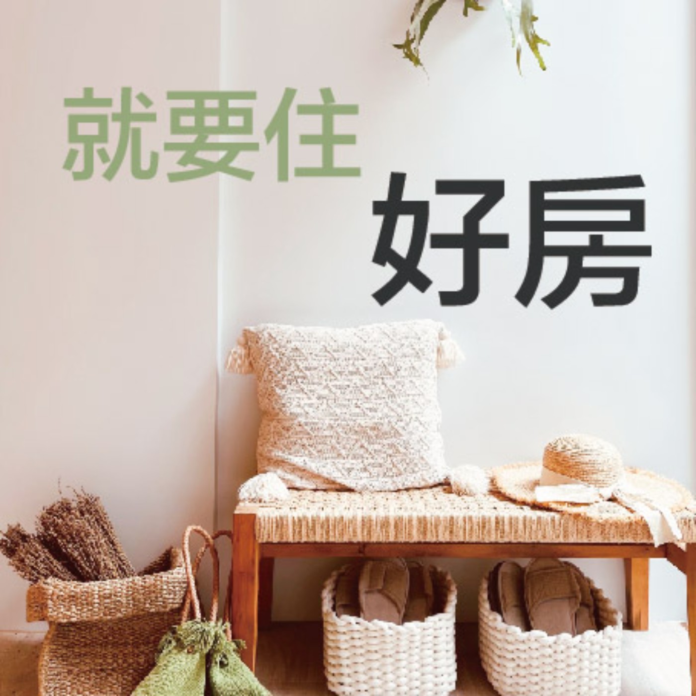 無毒和你想的不一樣-03 裝潢如何改善過敏