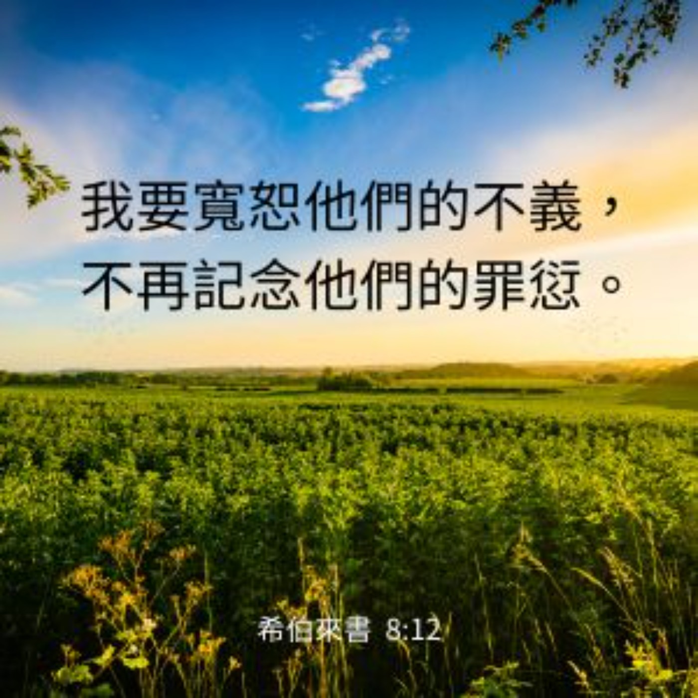 希伯來書 第8章 episode artwork