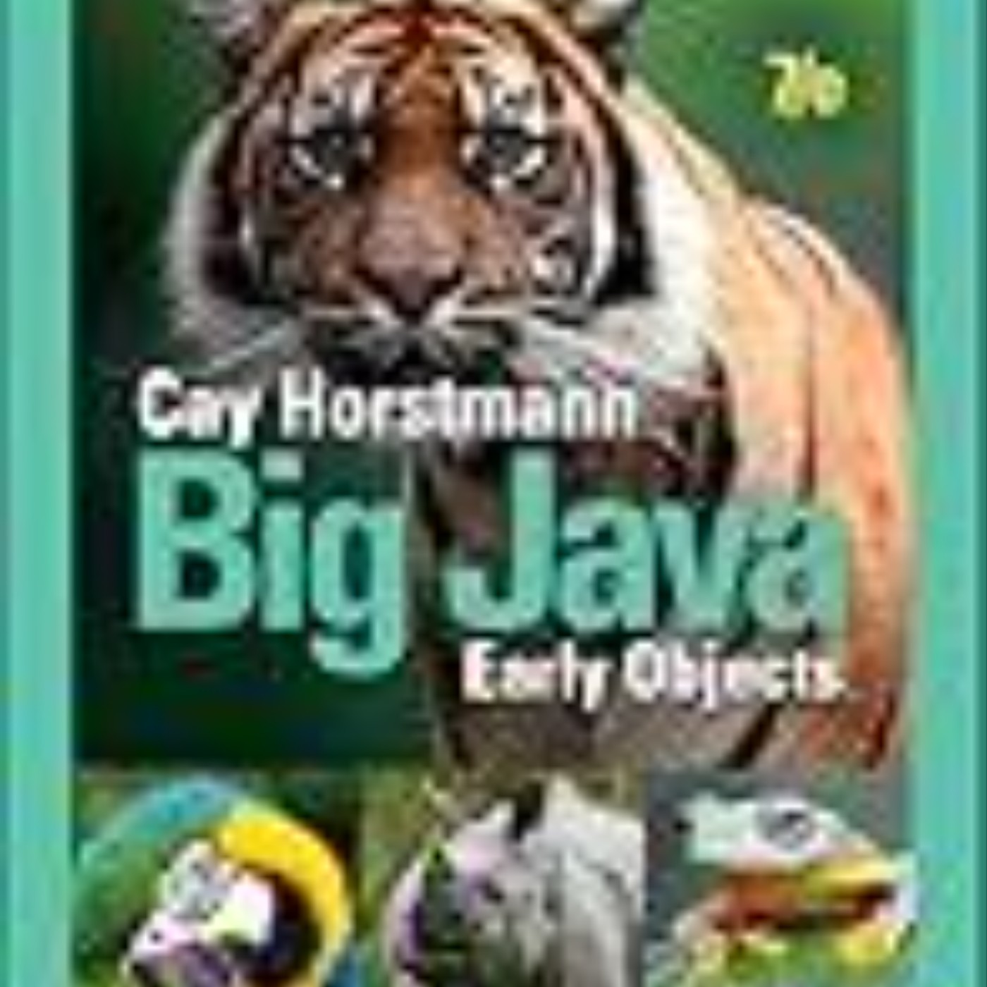 Download Books Big Java: Early Objects Full Page