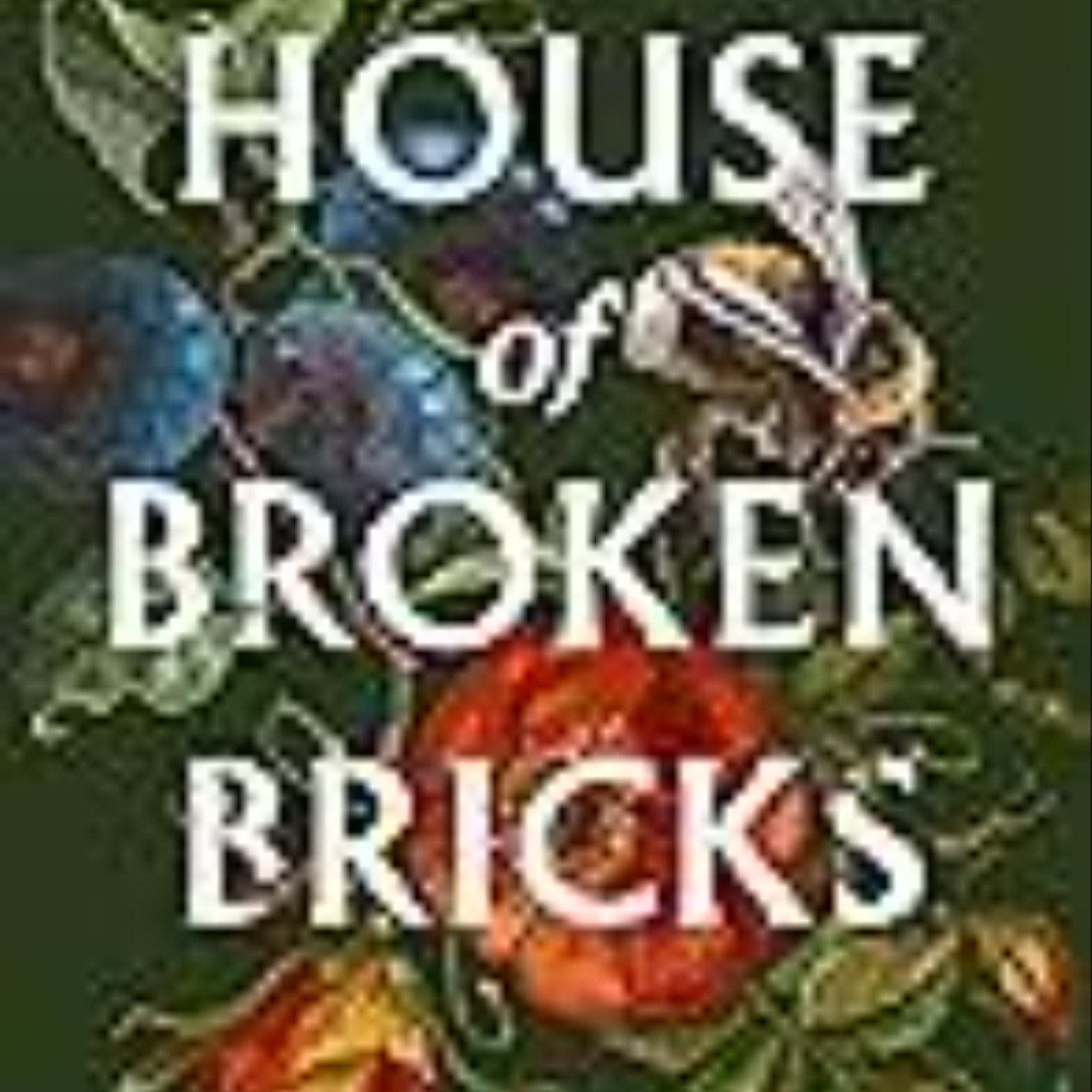 Books Download The House of Broken Bricks Full Access
