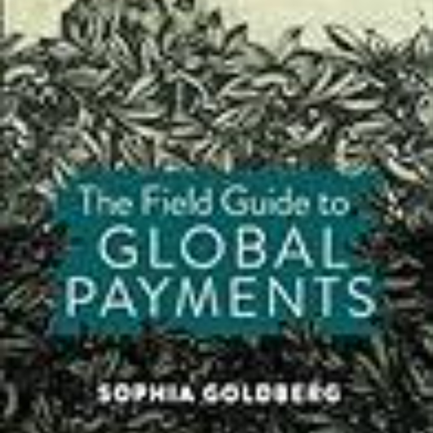 (Get) Books The Field Guide to Global Payments Full Page