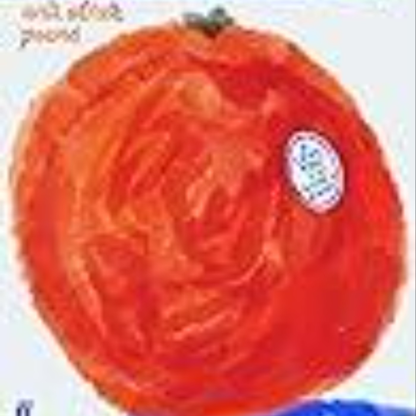 Read Now The Orange and Other Poems by Wendy Cope