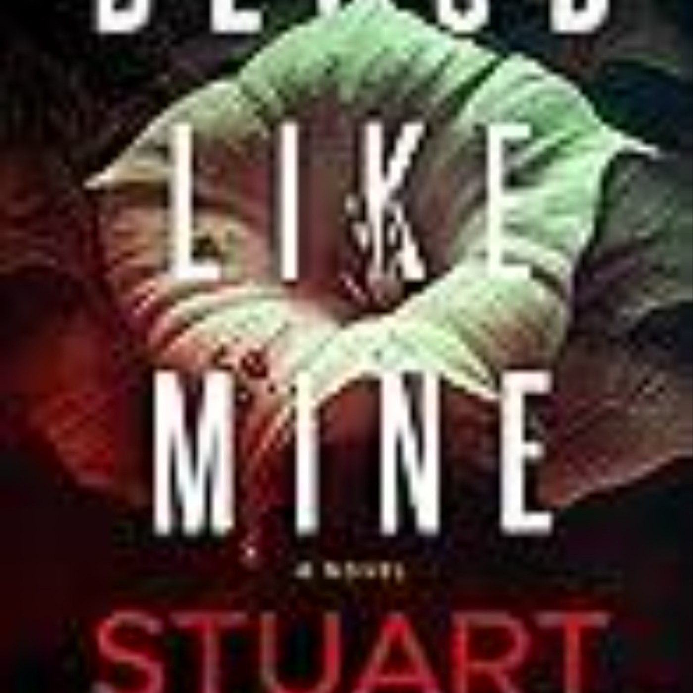 Download Blood Like Mine by Stuart Neville