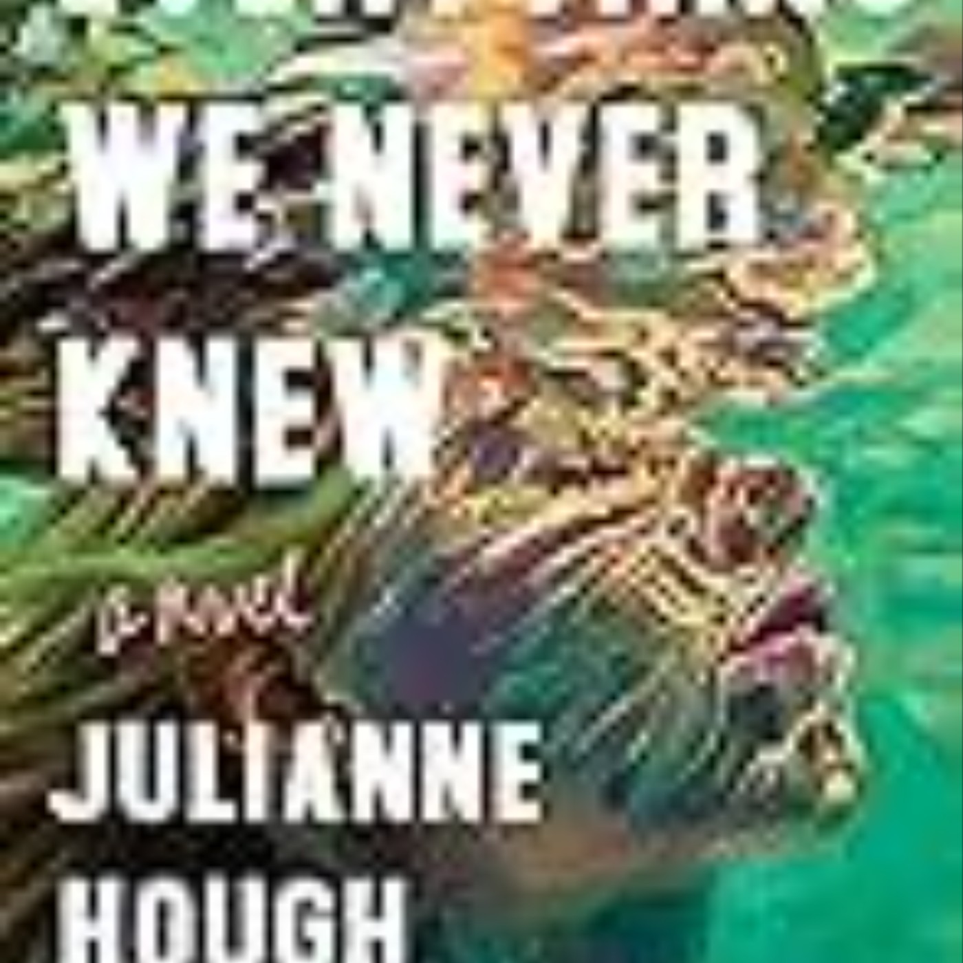 Read Everything We Never Knew by Julianne Hough