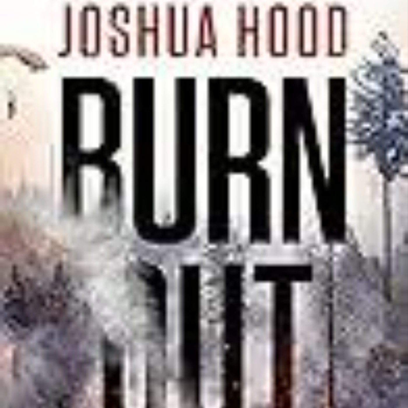 Download Now Burn Out by Joshua Hood