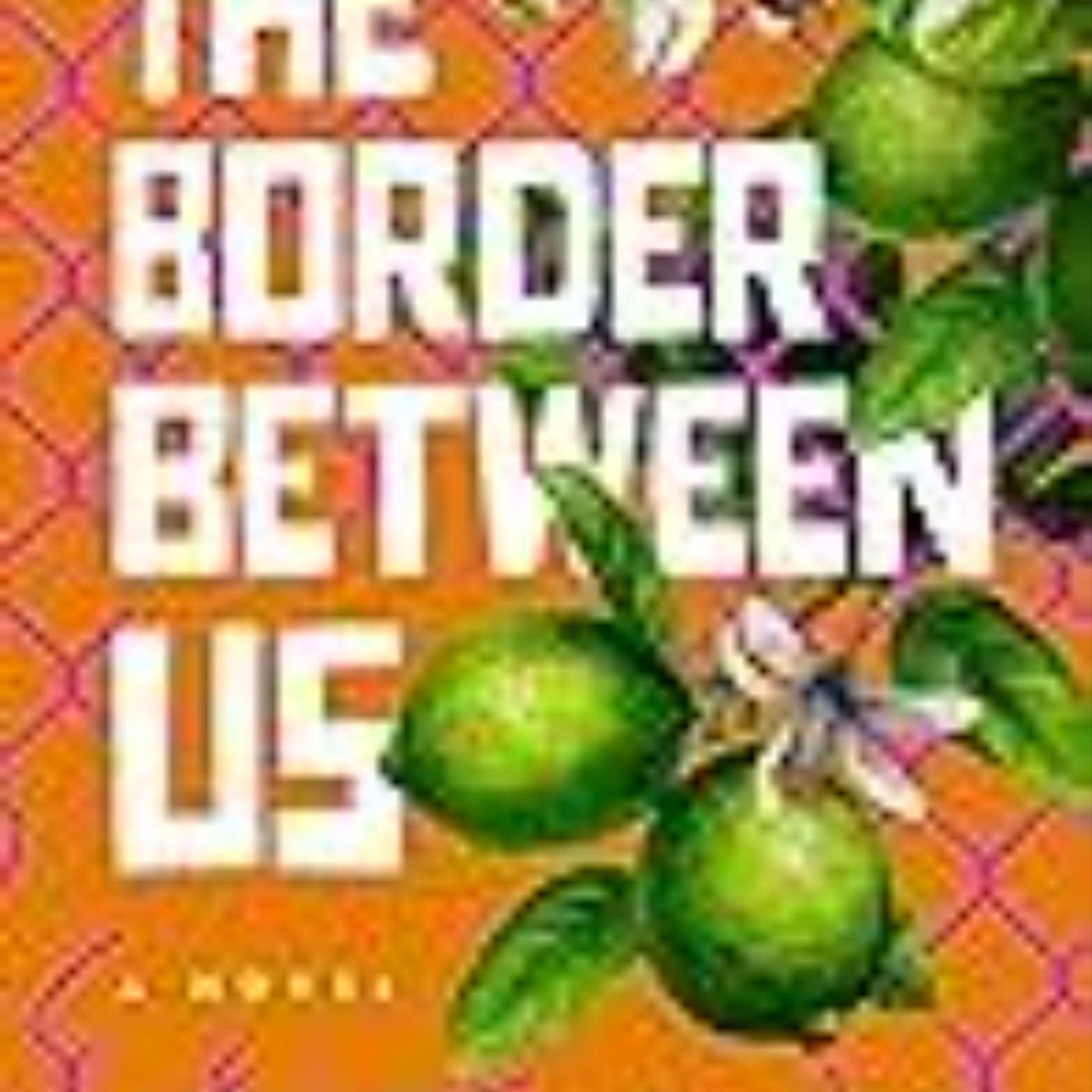 Read The Border Between Us by Rudy Ruiz