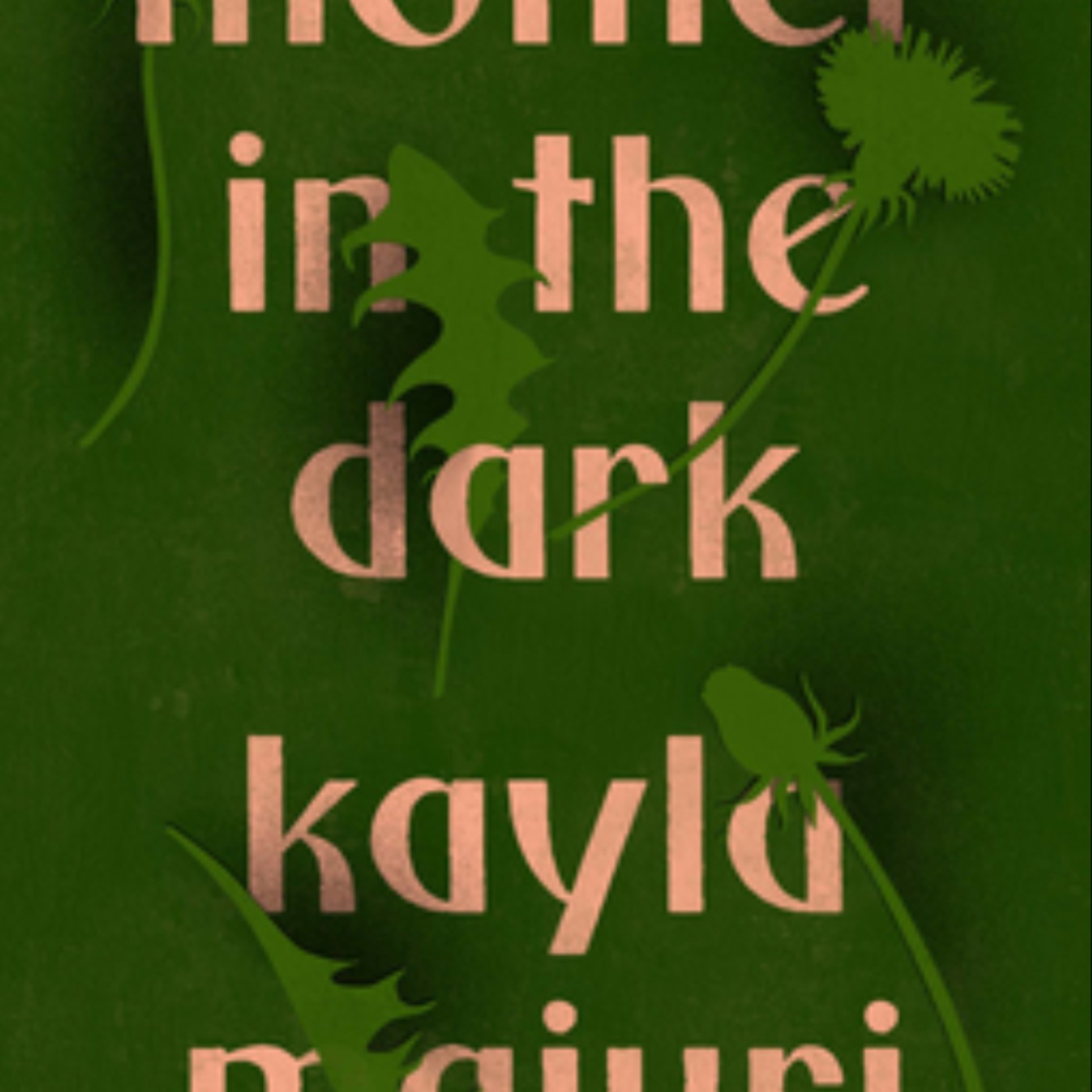 Download Mother in the Dark by Kayla Maiuri Full Page