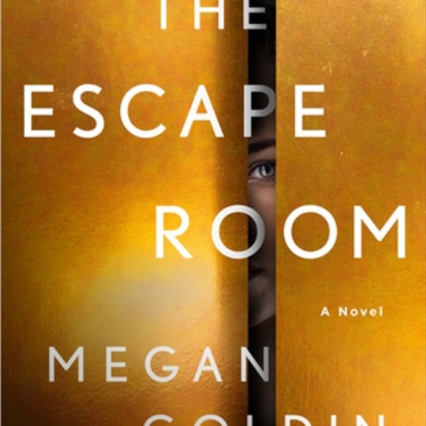 Download The Escape Room by Megan Goldin Full Page
