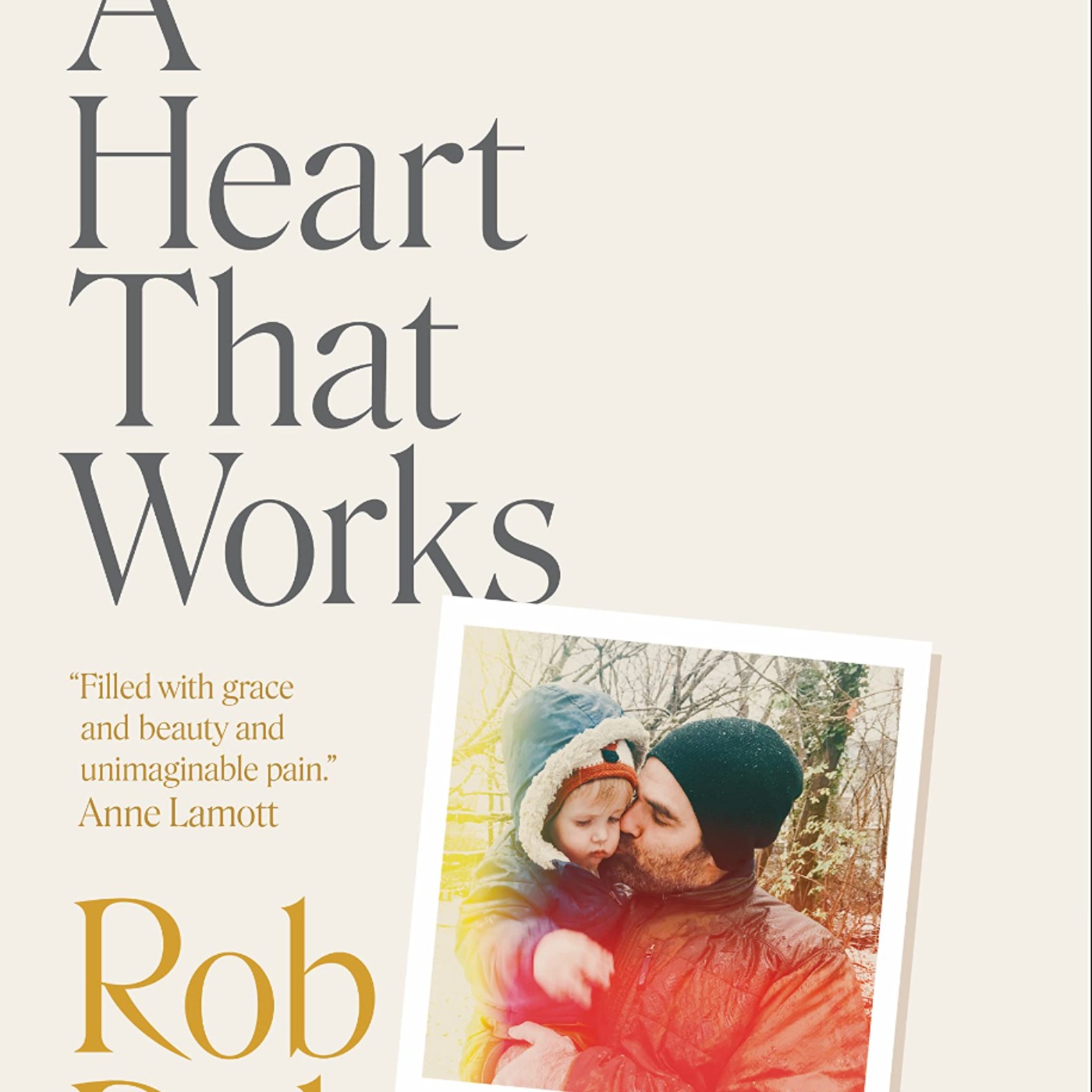 Download A Heart That Works by Rob Delaney Full Page