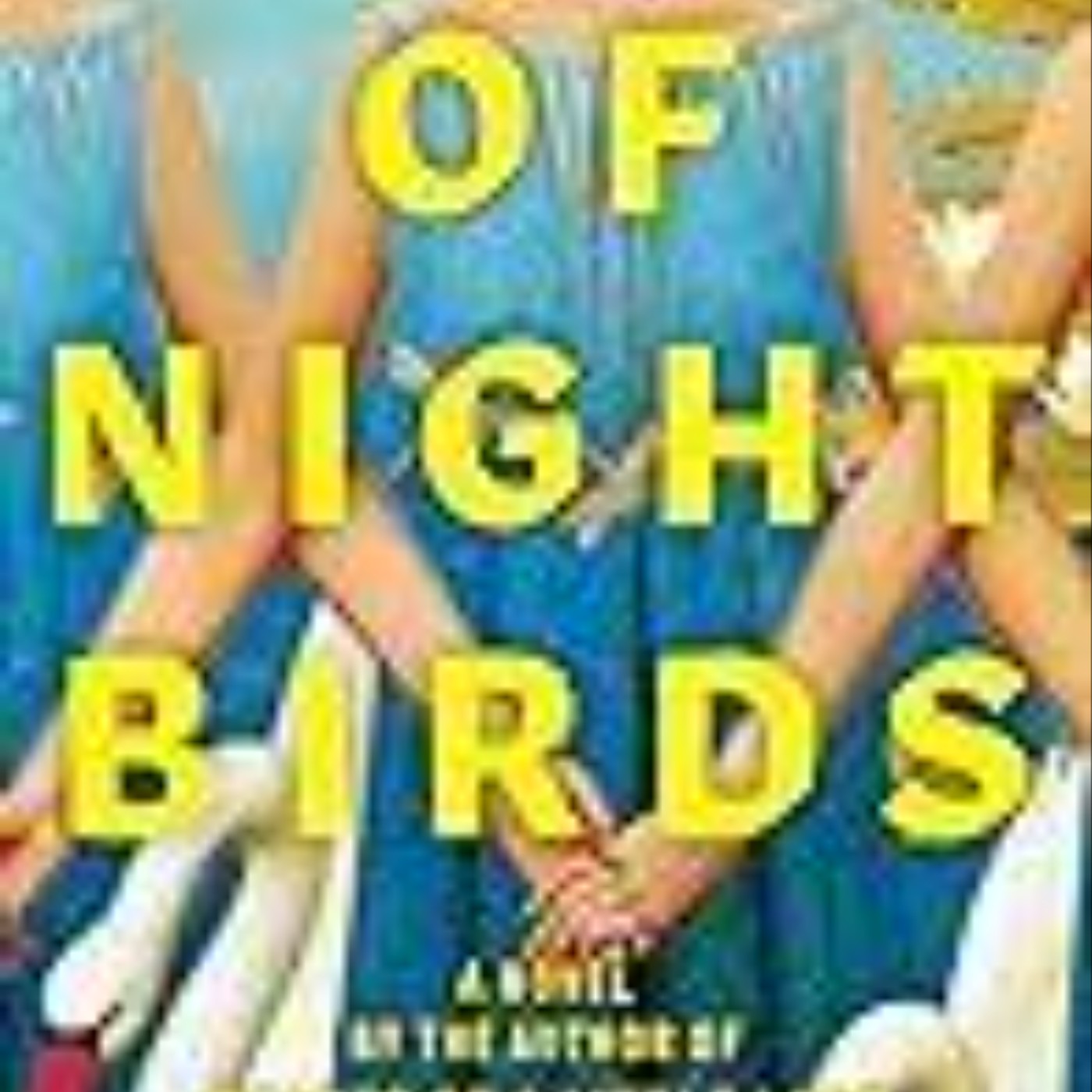 Download City of Night Birds by Juhea Kim