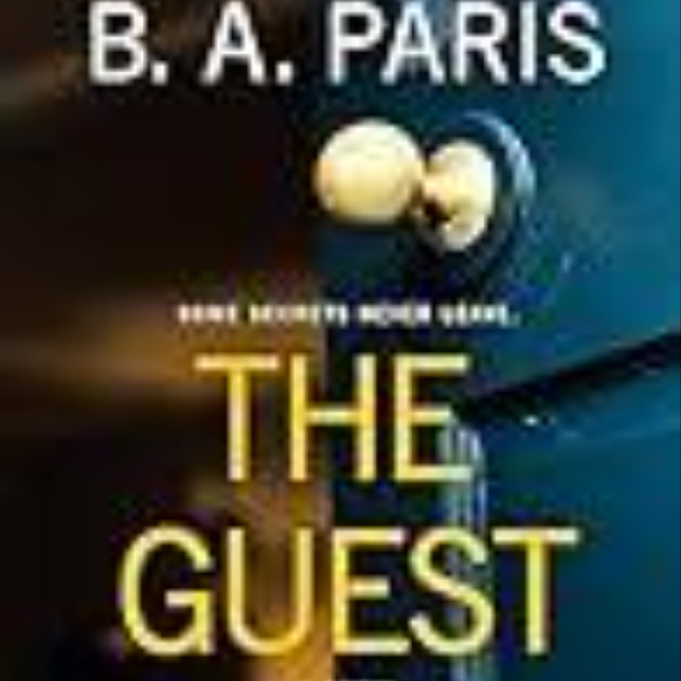 Download The Guest by B.A. Paris