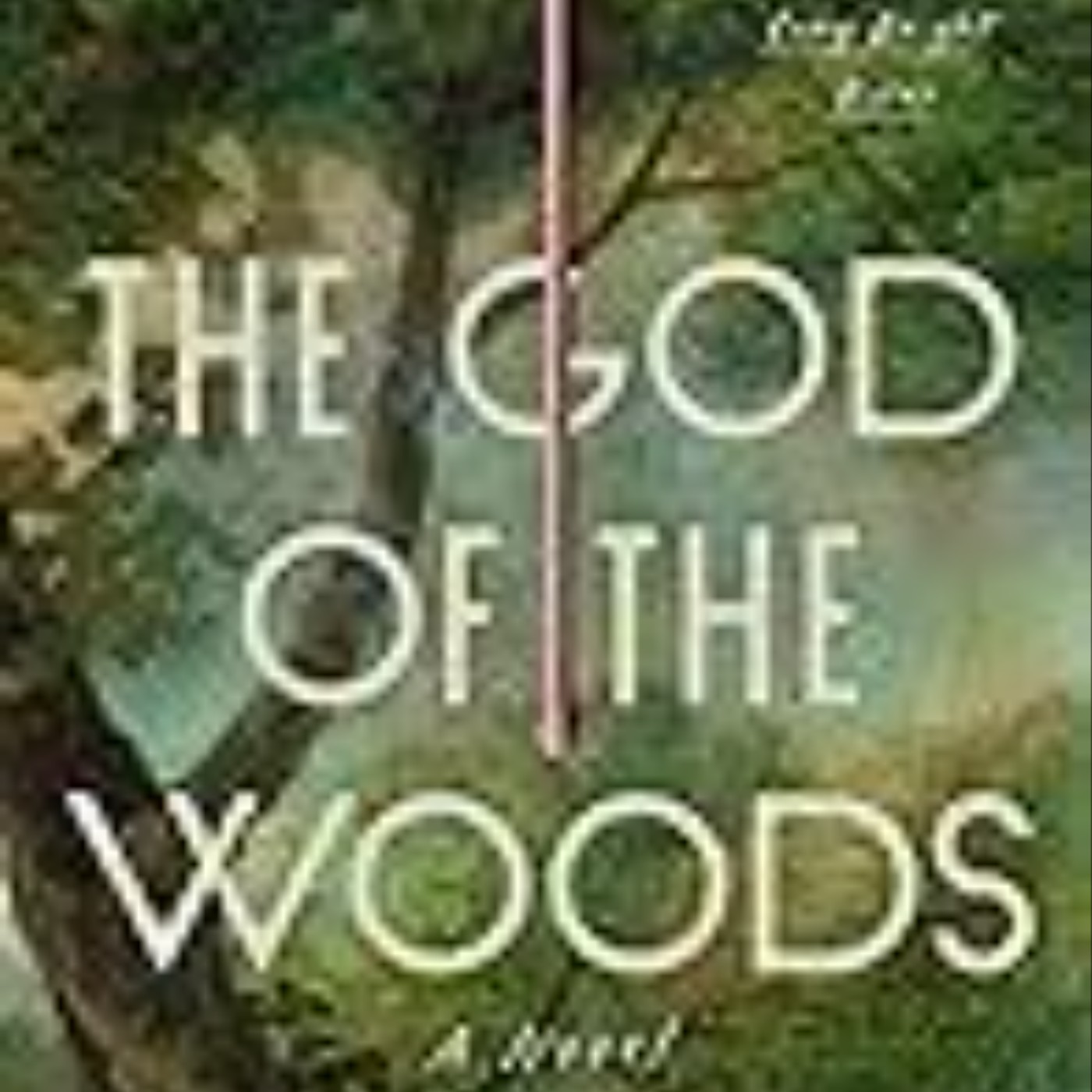 Get The God of the Woods by Liz    Moore