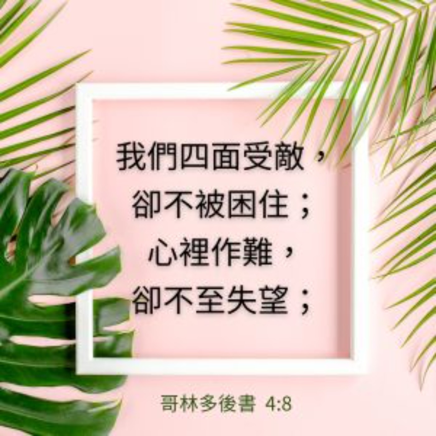 歌林多後書 第4章 episode artwork